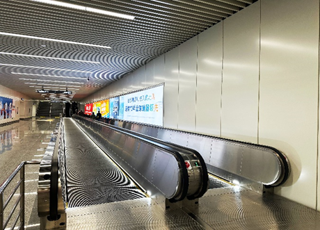 pg齫(ٷ)IOS/׿/ֻAPP