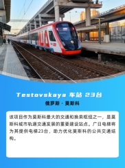 pg齫(ٷ)IOS/׿/ֻAPP